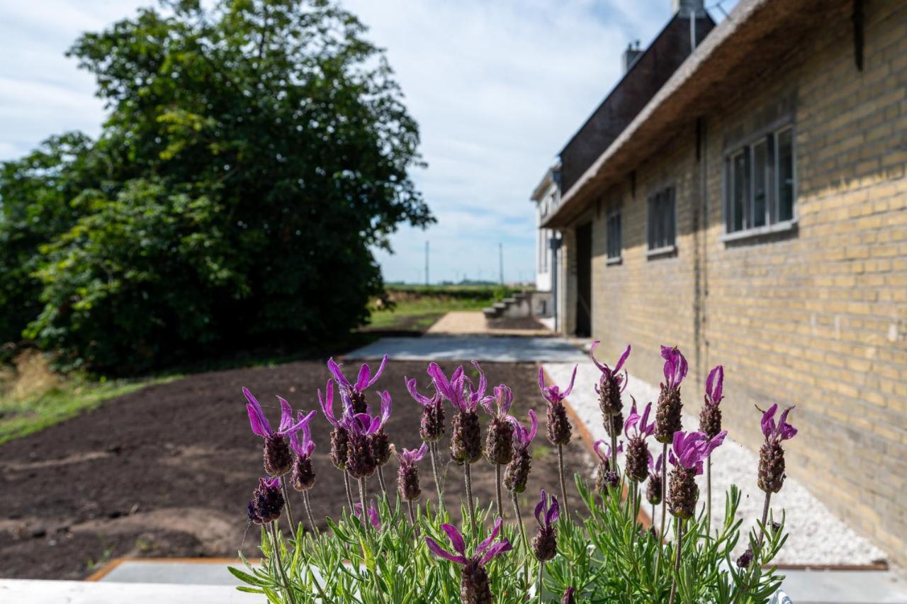Appartement De Dageraad In Monumentale Boerderij Kimswerd Exteriér fotografie